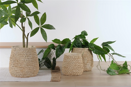 Blumentopf, Trenza Ø19.5x H18.5cm, zement Blumentopf, Trenza Ø19.5x H18.5cm, zement