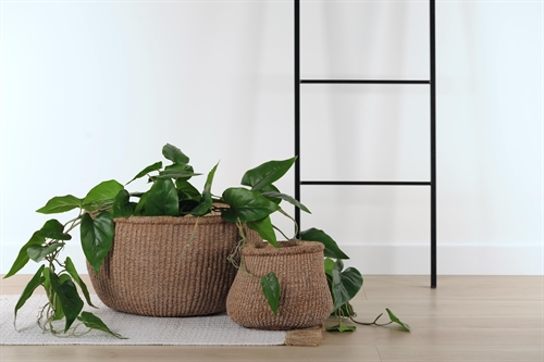 Blumentopf, Rustic root Ø25x H19cm, zement Blumentopf, Rustic root Ø25x H19cm, zement