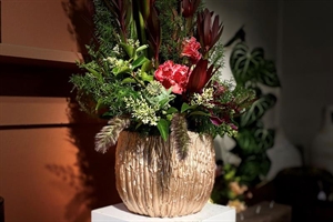 Blumentopf, Ø15x H12cm Zement, sjanpanje Blumentopf, Ø15x H12cm Zement, sjanpanje