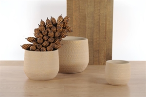 Blumentopf, Goldblush - Zement Ø21.5x 18cm, creme Blumentopf, Goldblush - Zement Ø21.5x 18cm, creme