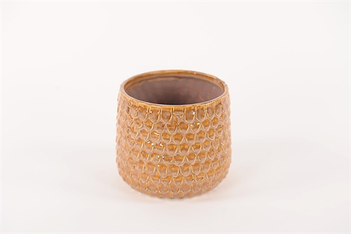 Blumentopf, Pinecone Keramik Ø14x H12.5cm, braun (orchid) Blumentopf, Pinecone Keramik Ø14x H12.5cm, braun (orchid)