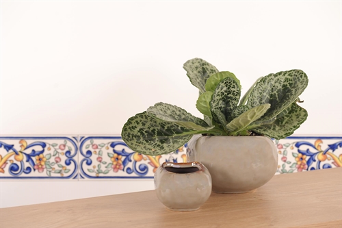 Blumentopf, Cuadrado Keramik Ø9.7x H7cm, hgrau Blumentopf, Cuadrado Keramik Ø9.7x H7cm, hgrau