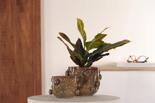 Blumentopf, Sfere Keramik Ø13.5x H9.2cm, grün Blumentopf, Sfere Keramik Ø13.5x H9.2cm, grün