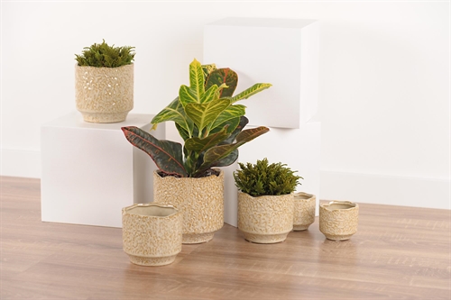 Blumentopf, Woestijnduin Ø7.6x H6.5cm, sand Blumentopf, Woestijnduin Ø7.6x H6.5cm, sand