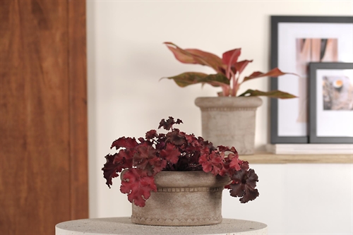 BlumenSchale, Terrazza Keramik Ø21x H10.2cm, hbraun BlumenSchale, Terrazza Keramik Ø21x H10.2cm, hbraun