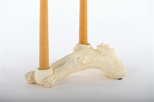 Kerzenständer, Spargel L26x Ø12x H8.5cm, zement Kerzenständer, Spargel L26x Ø12x H8.5cm, zement