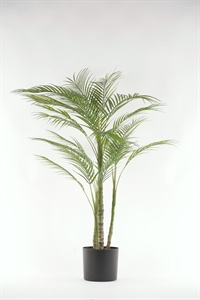 Forest, Farn im Topf, H 90cm, grün Forest, Farn im Topf, H 90cm, grün