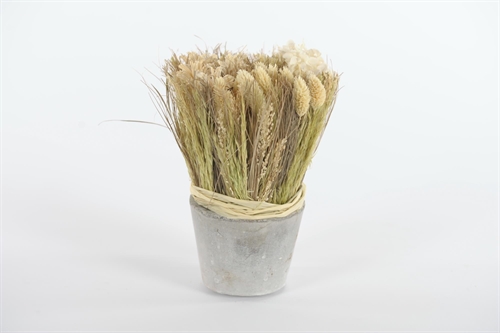 Blumenstrauß, im Topf Ø11x H22cm, vanille/grün Blumenstrauß, im Topf Ø11x H22cm, vanille/grün