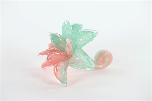 Blume Amaryllis - Glas - L14x H10cm, red pink/green Blume Amaryllis - Glas - L14x H10cm, red pink/green
