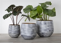 Alu- Töpfe-Vasen, gross