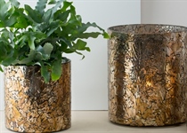 Windlicht- GlasTöpfe, gr.